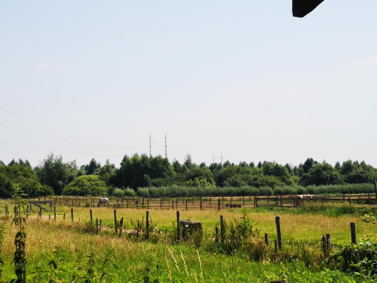 Ruime Romantische Blokhut Zwaanshoek Exterior photo